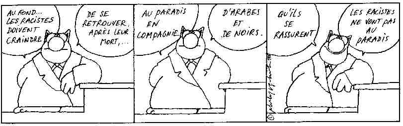 lechattrait.jpg (27076 octets)